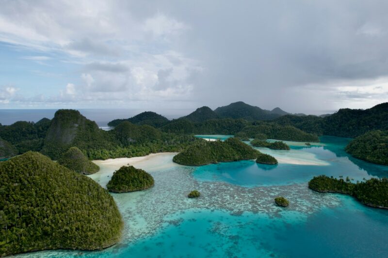 erick-morales-oyola-fZiv-3kAXUw-unsplash